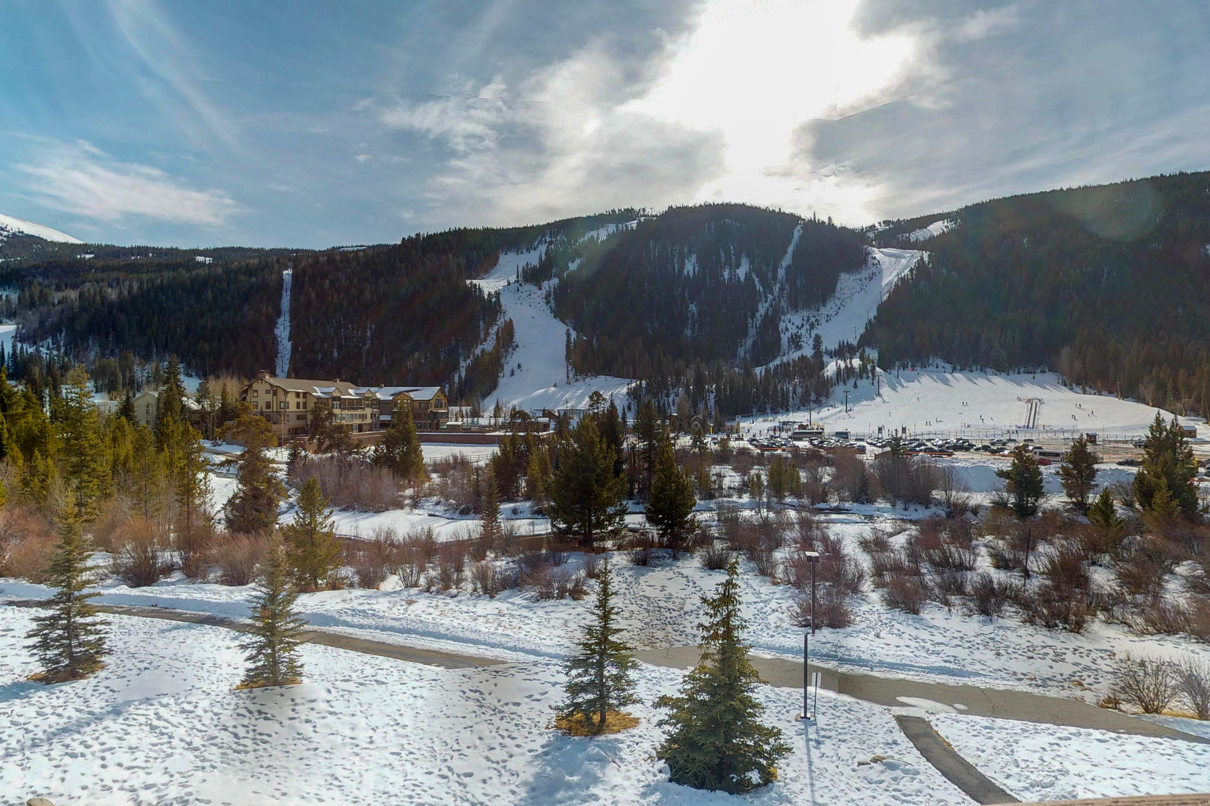 Breckenridge Condo 938019