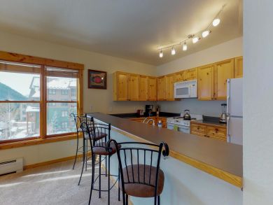 Breckenridge Condo 938019