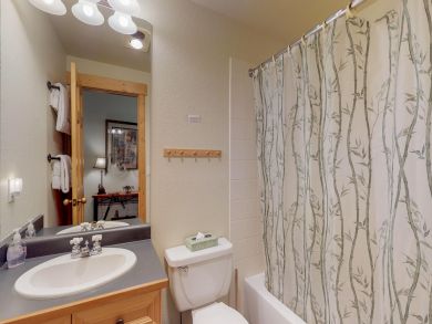 Breckenridge Condo 938019