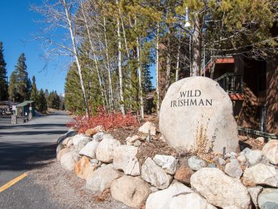 Breckenridge Condo 938020
