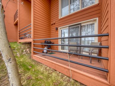 Breckenridge Condo 938023
