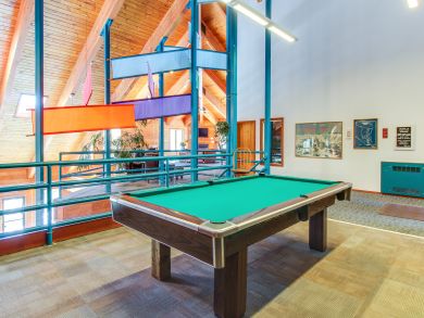 Breckenridge Condo 938023