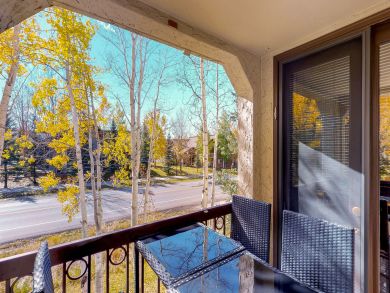 Steamboat Springs Condo 938024