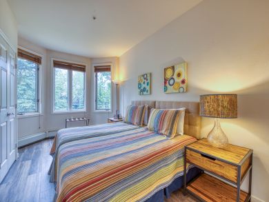 Steamboat Springs Condo 938024