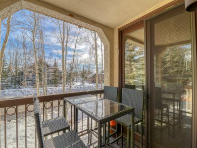Steamboat Springs Condo 938024