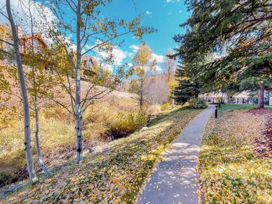 Steamboat Springs Condo 938024