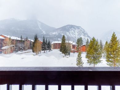 Breckenridge Condo 938027