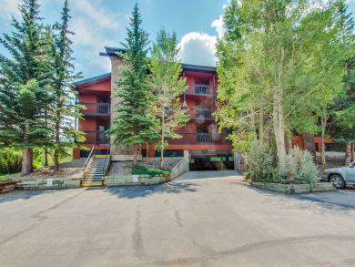 Breckenridge Condo 938027