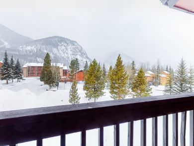 Breckenridge Condo 938027