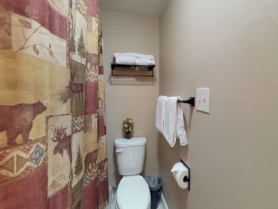 Breckenridge Condo 938029
