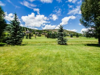 Breckenridge Condo 938029