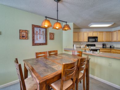 Steamboat Springs Condo 938034