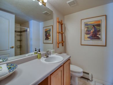 Steamboat Springs Condo 938034
