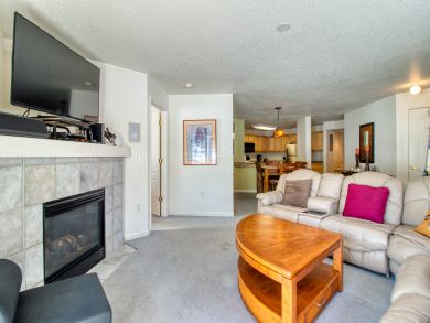 Steamboat Springs Condo 938034