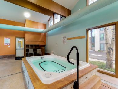 Breckenridge Condo 938043