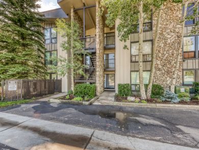 Breckenridge Condo 938043