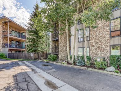 Breckenridge Condo 938043
