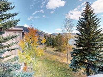 Breckenridge Condo 938043