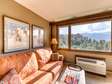 Breckenridge Condo 938046