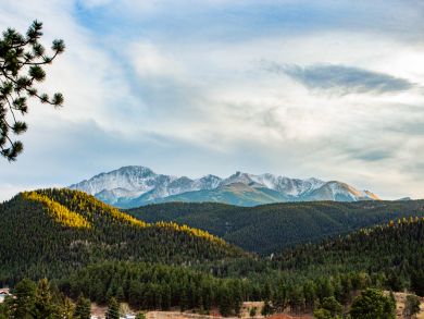 Aspen Home 938048