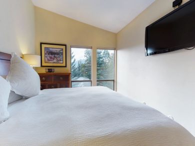 Breckenridge Condo 938049