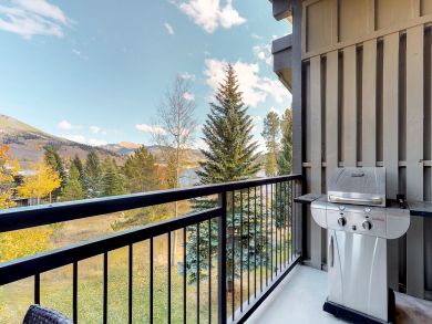 Breckenridge Condo 938049