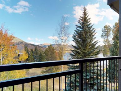 Breckenridge Condo 938049