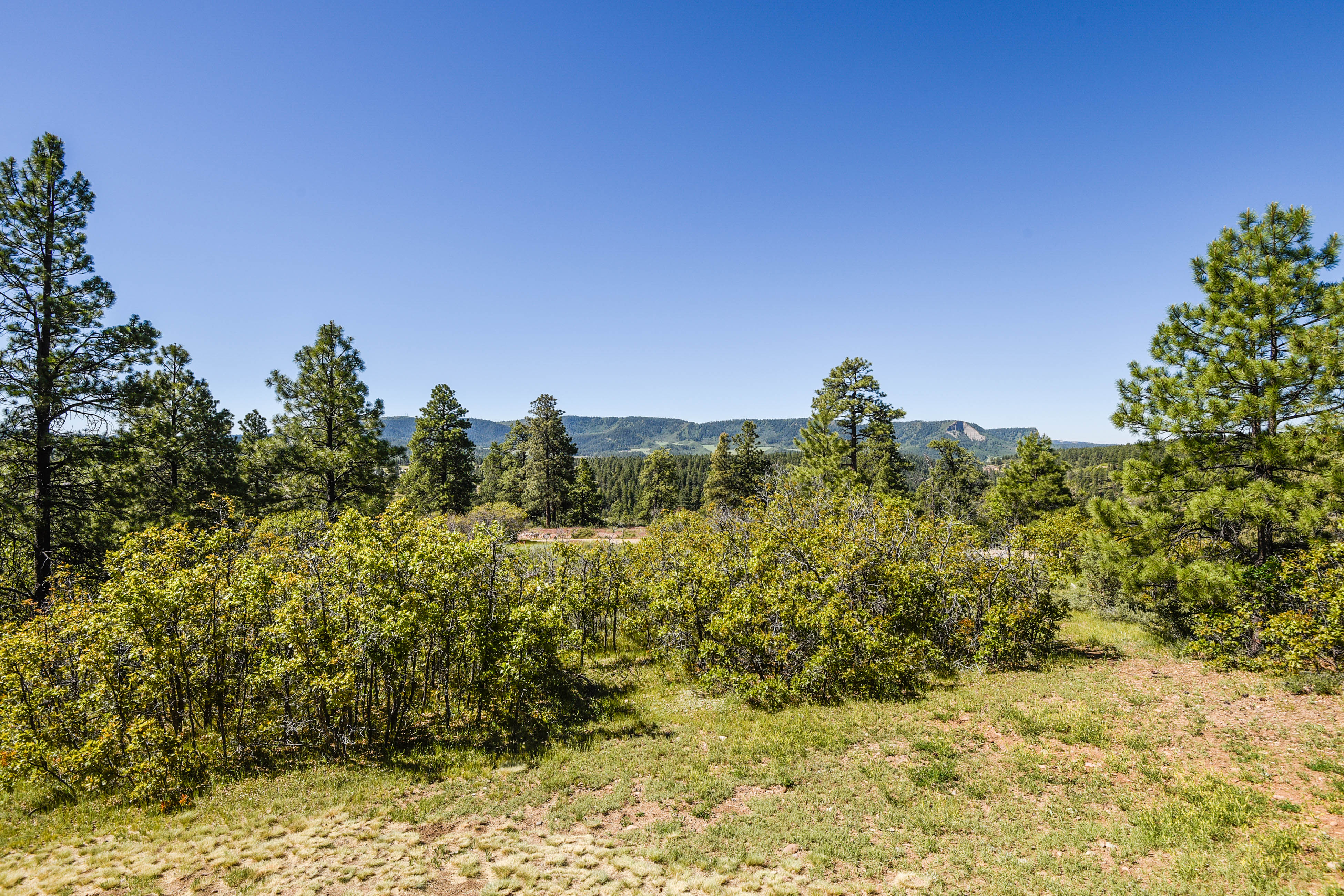 Breckenridge Home 938055