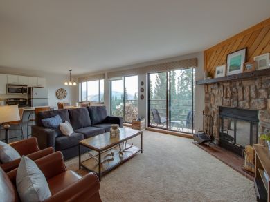 Breckenridge Condo 938059