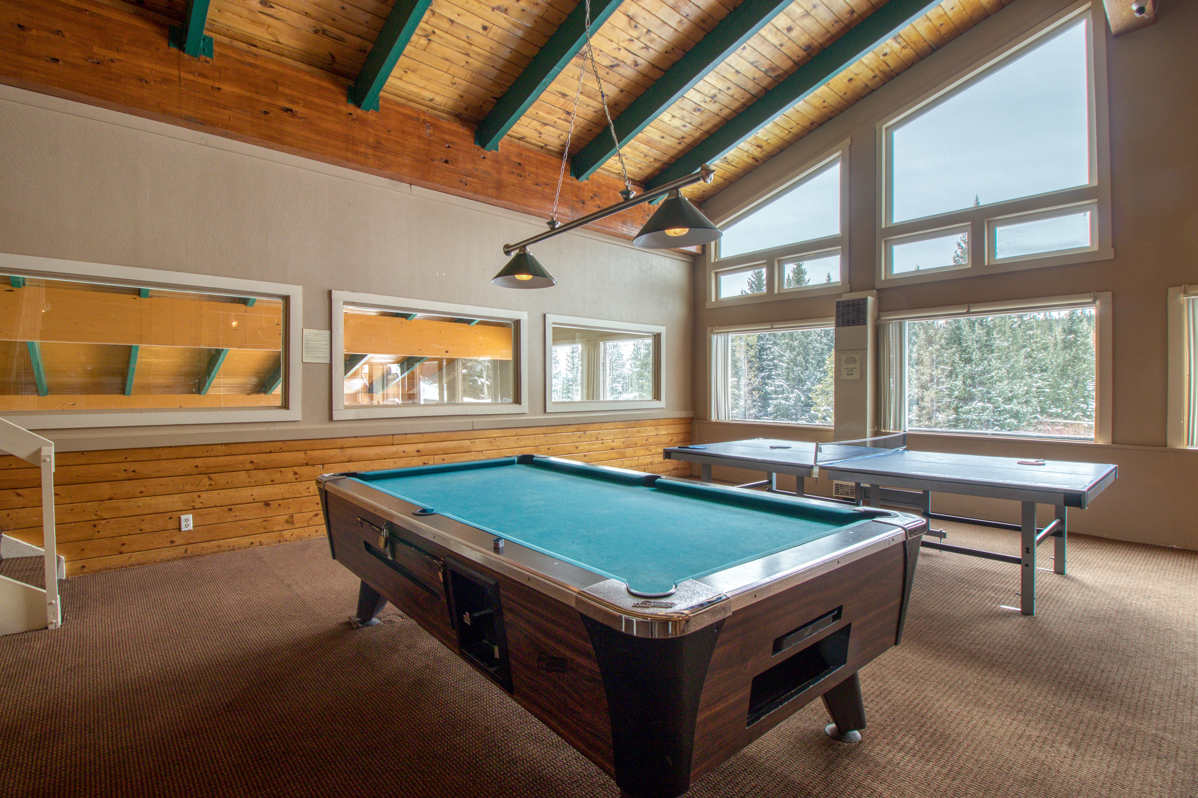 Breckenridge Condo 938059