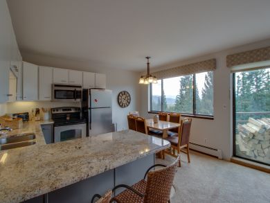 Breckenridge Condo 938059