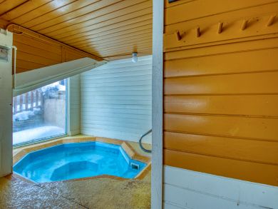 Breckenridge Condo 938059