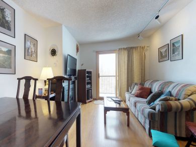 Breckenridge Condo 938066