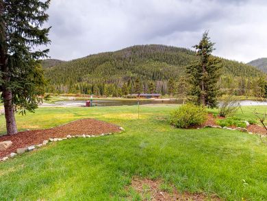 Breckenridge Condo 938070