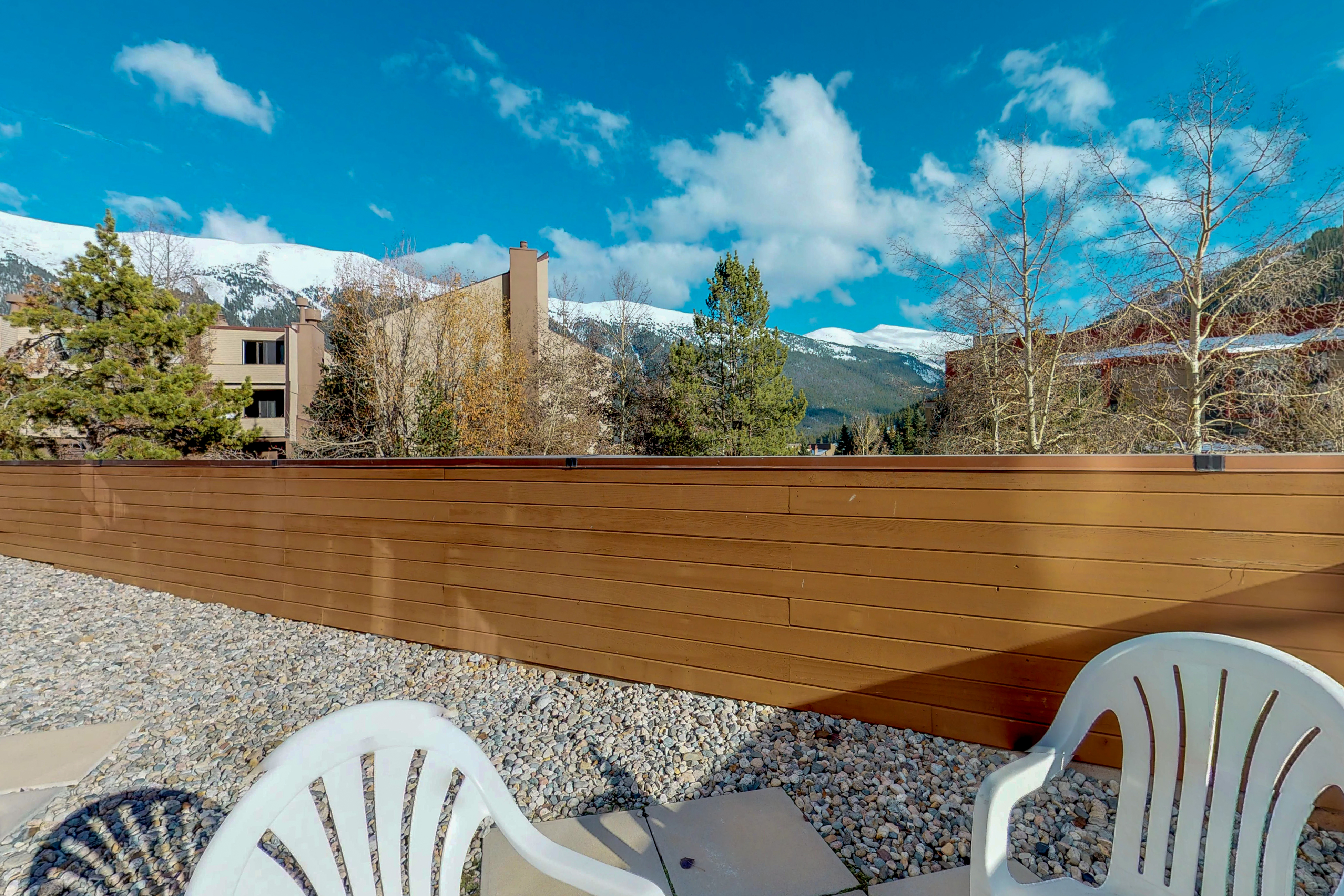 Breckenridge Condo 938071
