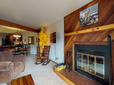 Breckenridge Condo 938075