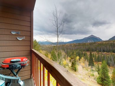 Breckenridge Condo 938075