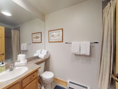 Breckenridge Condo 938079