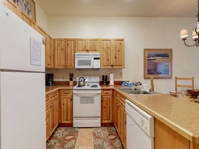 Breckenridge Condo 938087