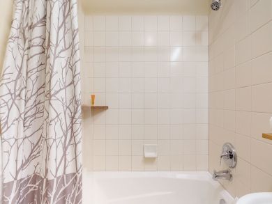 Breckenridge Condo 938087