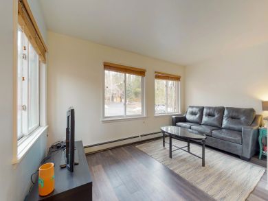 Breckenridge Condo 938092