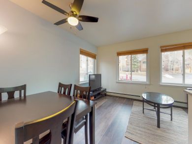 Breckenridge Condo 938092