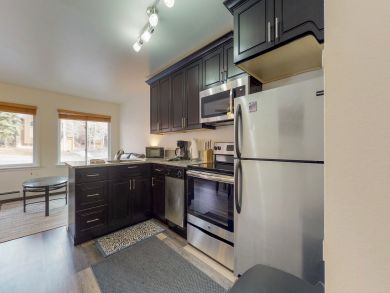 Breckenridge Condo 938092