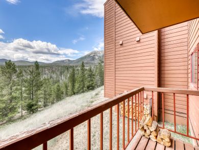 Breckenridge Condo 938095