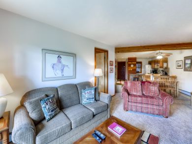 Breckenridge Condo 938095