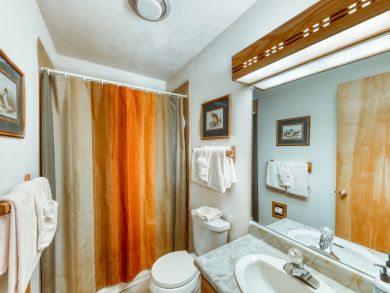 Breckenridge Condo 938095