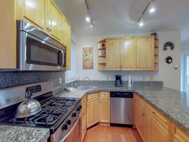 Telluride Condo 938104