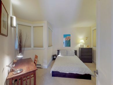 Telluride Condo 938104