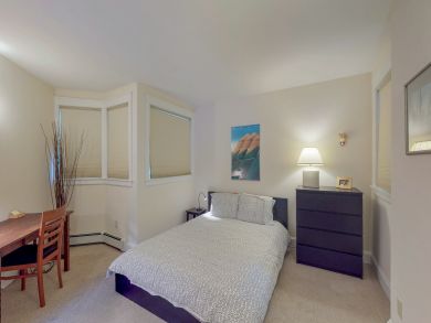 Telluride Condo 938104