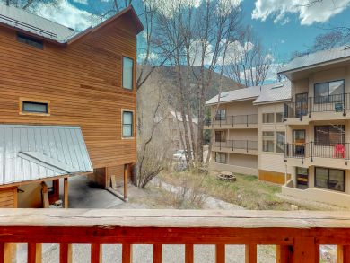 Telluride Condo 938104